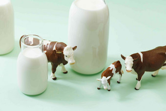 牛奶和奶牛