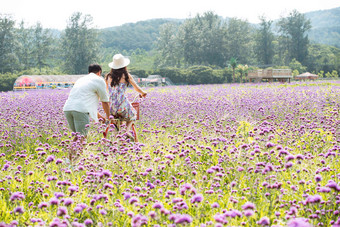 青年夫妇在<strong>花海</strong>里骑车