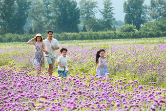 一家四口在<strong>花海</strong>里快乐玩耍