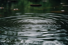 涟漪池塘多雨的季节水面波纹摄影图20