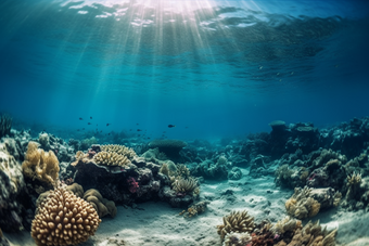 珊瑚海洋生活海底清澈的<strong>水</strong>海底世界摄影图7
