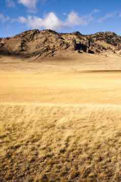 黄色的粮食草原日益增长的风景优美的谷北部岩石山