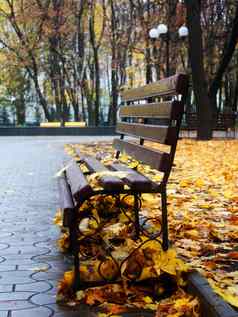 空板凳上秋天公园