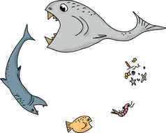 海洋食物链卡通