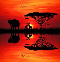 大象日落