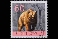 波兰约邮票熊