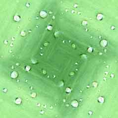 露水滴绿色叶模式