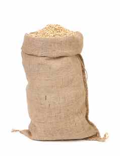 燕麦种子粮食粗麻布袋袋