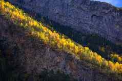 秋天森林庇里牛斯山Valleordesahuesca西班牙