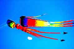 明亮的色彩斑斓的风筝