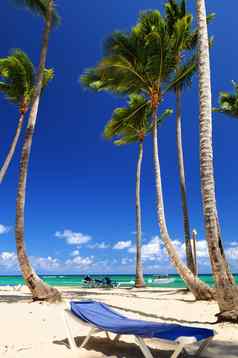 桑迪海滩加勒比度假胜地
