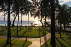 日落海海滩棕榈树轮廓