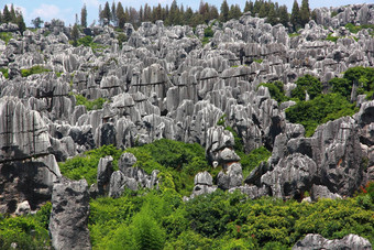 石头森林国家公园云南省
