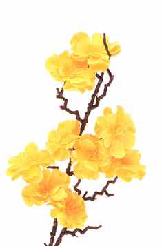 人工分支黄色的花