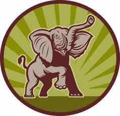 非洲大象充电攻击