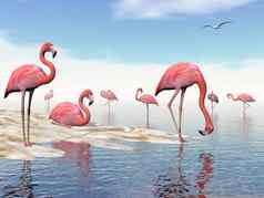 群粉红色的火烈鸟渲染