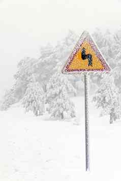 交通路标志雪