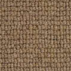 棕色（的）地毯