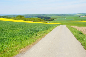 Feldwirtschaftsweghunsruck