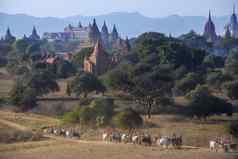 考古区蒲甘缅甸缅甸
