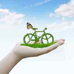 手持有自行车使绿色叶子