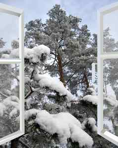 开放窗口雪冬天森林