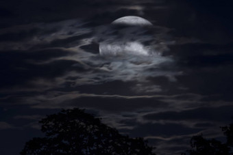 令人毛骨悚然的完整的万圣节月亮树可见<strong>离别</strong>云