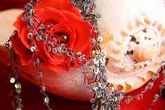 红色的玫瑰珍珠