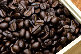 咖啡豆子木
