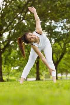 健美的女人伸展运动练习公园