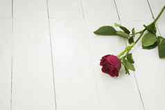 单红色的玫瑰白色木地板