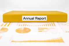 业务年度报告图图表项目评价