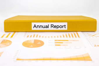 业务年度报告图图表项目评价