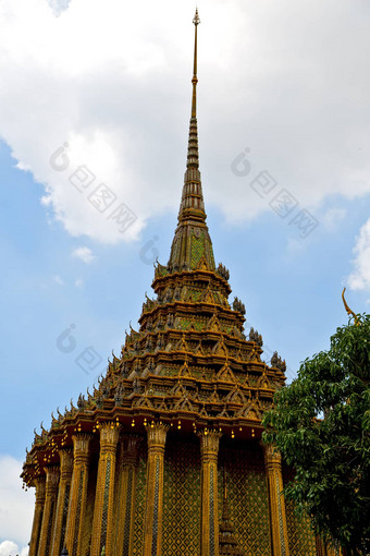 泰国曼谷雨寺庙摘要植物树