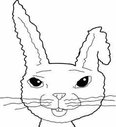 概述了兔子你耳朵