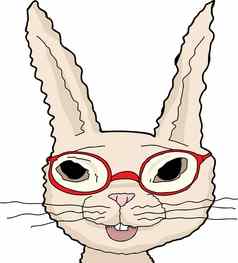 孤立的兔子红色的眼镜