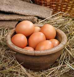 鸡复活节鸡蛋