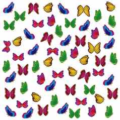 各种各样颜色的昆虫蝴蝶