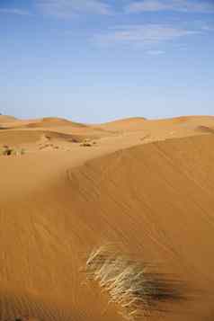 景观沙漠色彩斑斓的充满活力的旅行主题