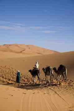 撒哈拉沙漠沙漠merzouga色彩斑斓的充满活力的旅行主题