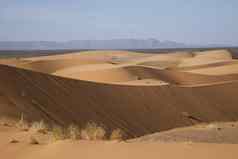 撒哈拉沙漠沙漠merzouga色彩斑斓的充满活力的旅行主题