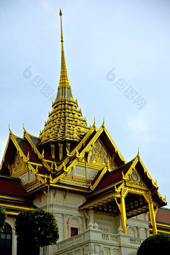 泰国曼谷雨寺庙摘要树