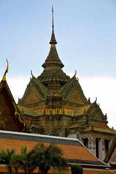 泰国曼谷雨寺庙摘要树