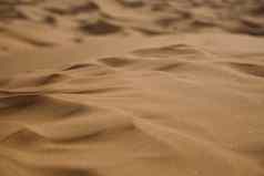 沙漠沙丘色彩斑斓的充满活力的旅行主题