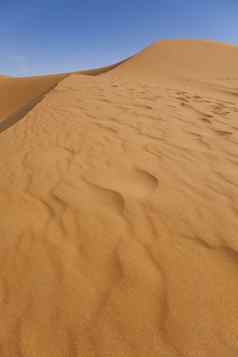 沙漠沙丘色彩斑斓的充满活力的旅行主题