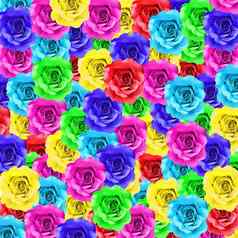 色彩斑斓的玫瑰花