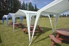 野餐表帐篷凉亭户外草坪上