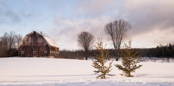 冬季农场场精品农业结构牧场建筑