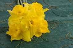 淡黄色花