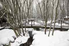 木桥冬天